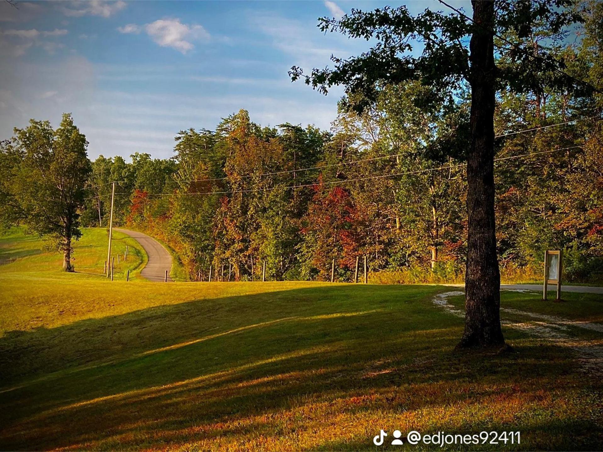 The Willow, Secluded And Cozy Country Cabin Ravenna ภายนอก รูปภาพ